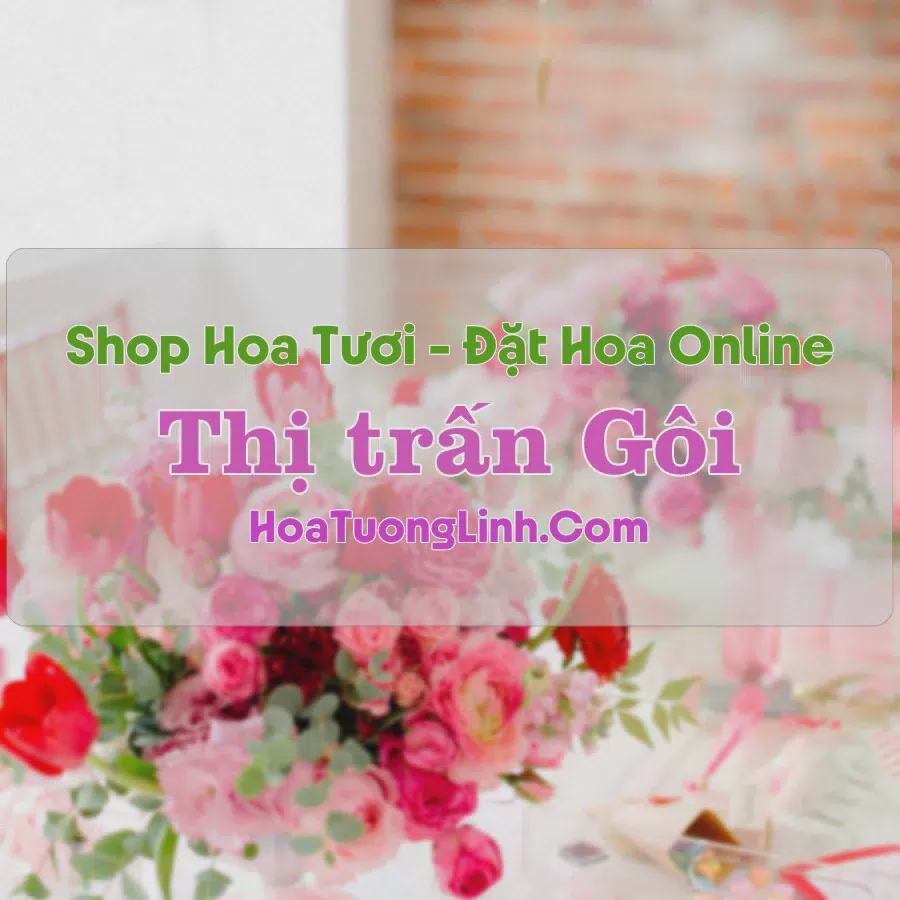 Shop Hoa Tươi TT Gôi - Nam Định