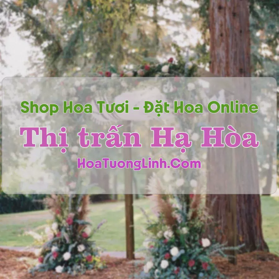 Shop Hoa Tươi Thị Trấn Hạ Hòa - Phú Thọ
