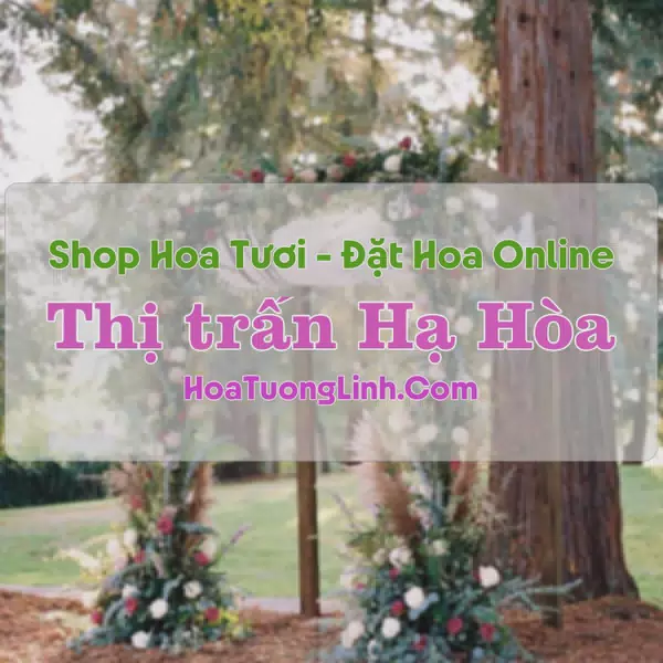 Shop Hoa Tươi Thị Trấn Hạ Hòa - Phú Thọ