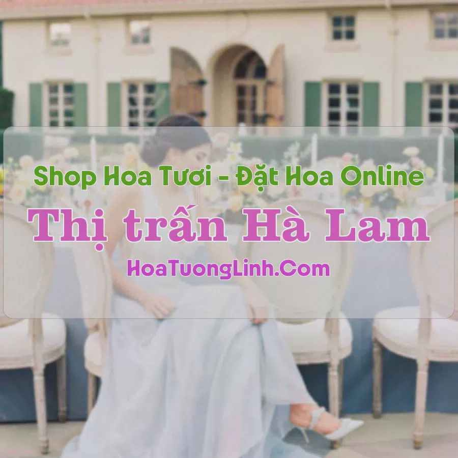Shop Hoa Tươi Thị Trấn Hà Lam - Quảng Nam