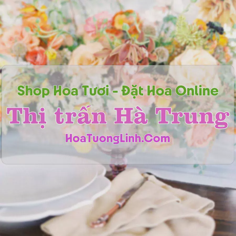 Shop Hoa Tươi Thị Trấn Hà Trung - Thanh Hóa