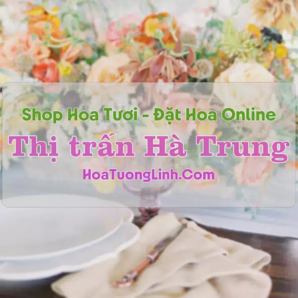 Shop Hoa Tươi Thị Trấn Hà Trung - Thanh Hóa