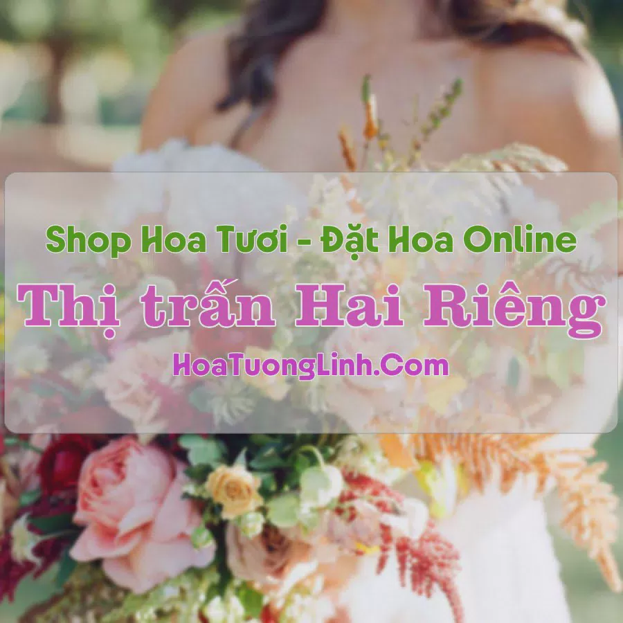Shop Hoa Tươi Thị trấn Hai Riêng - Phú Yên
