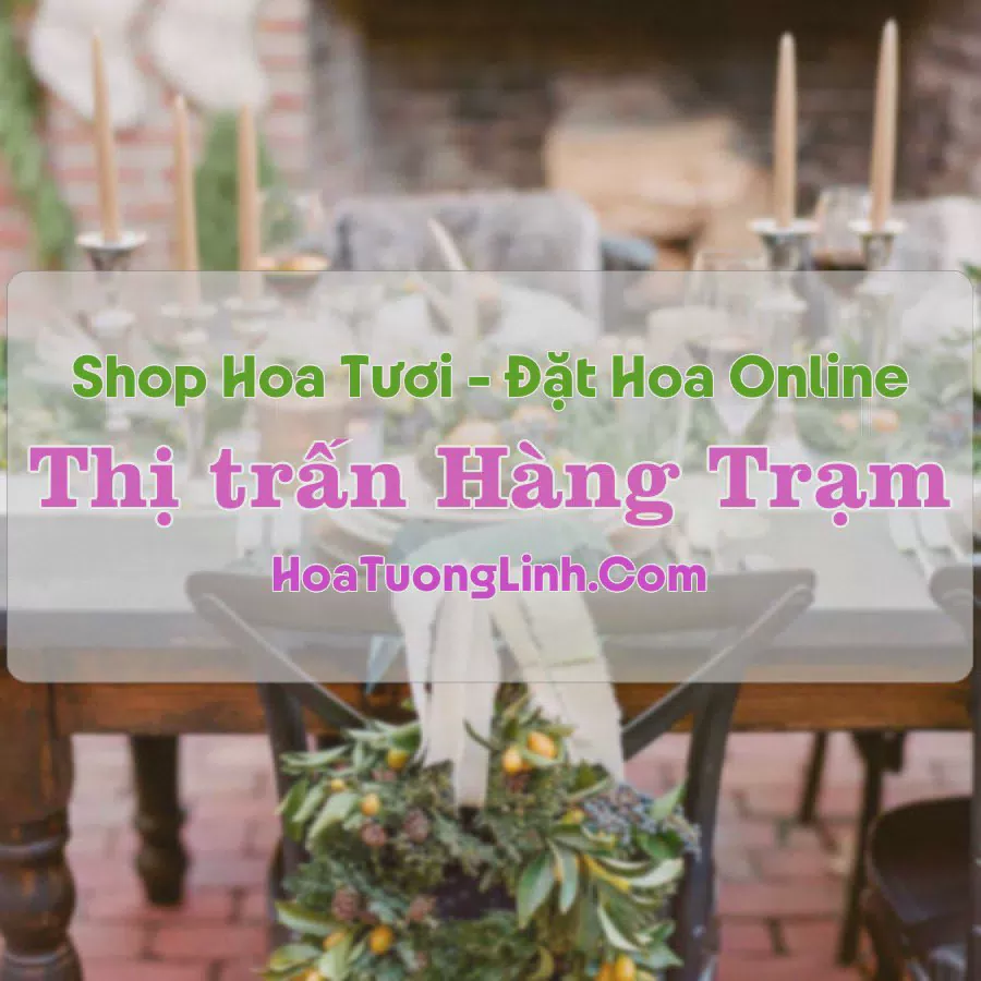 Shop Hoa Tươi Thị Trấn Hàng Trạm - Hòa Bình