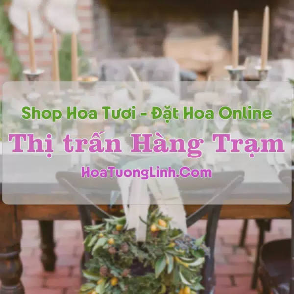 Shop Hoa Tươi Thị Trấn Hàng Trạm - Hòa Bình