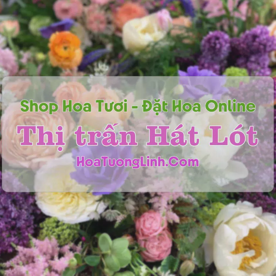 Shop Hoa Tươi Thị Trấn Hát Lót - Sơn La