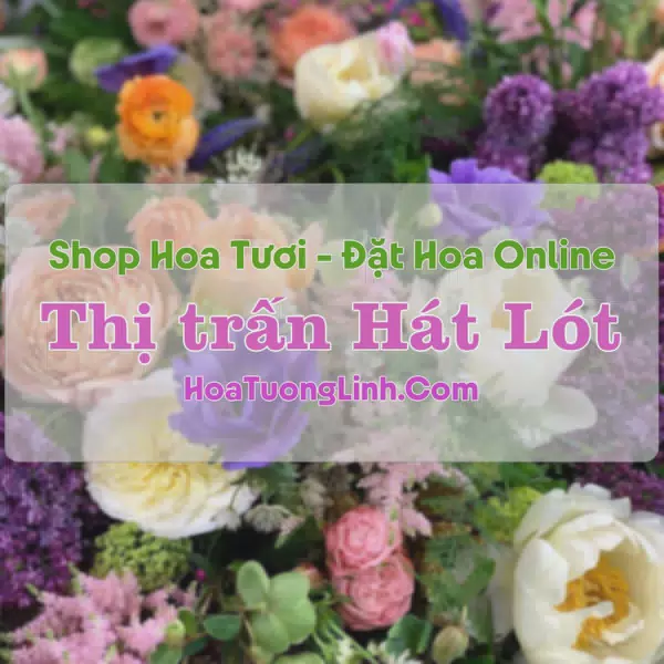 Shop Hoa Tươi Thị Trấn Hát Lót - Sơn La