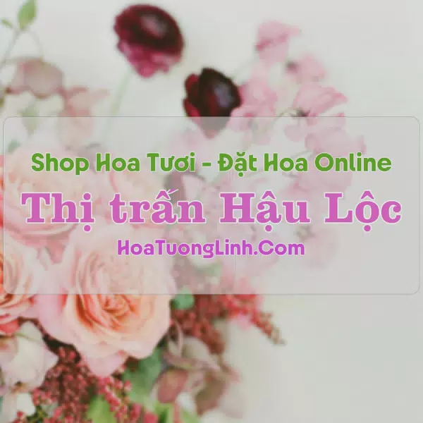 Shop Hoa Tươi Thị Trấn Hậu Lộc - Thanh Hóa