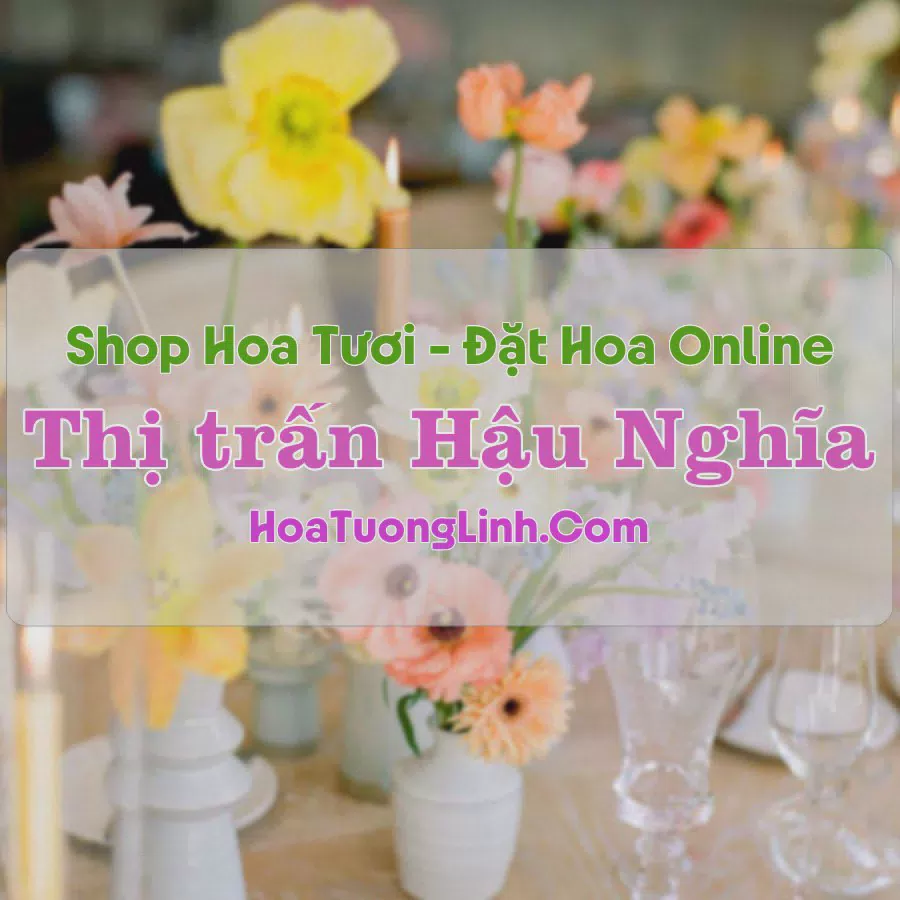 Shop Hoa Tươi Thị trấn Hậu Nghĩa - Long An