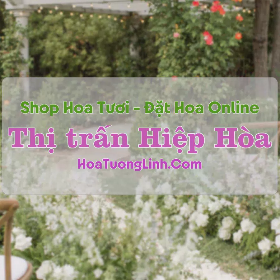 Shop Hoa Tươi Thị trấn Hiệp Hòa - Long An