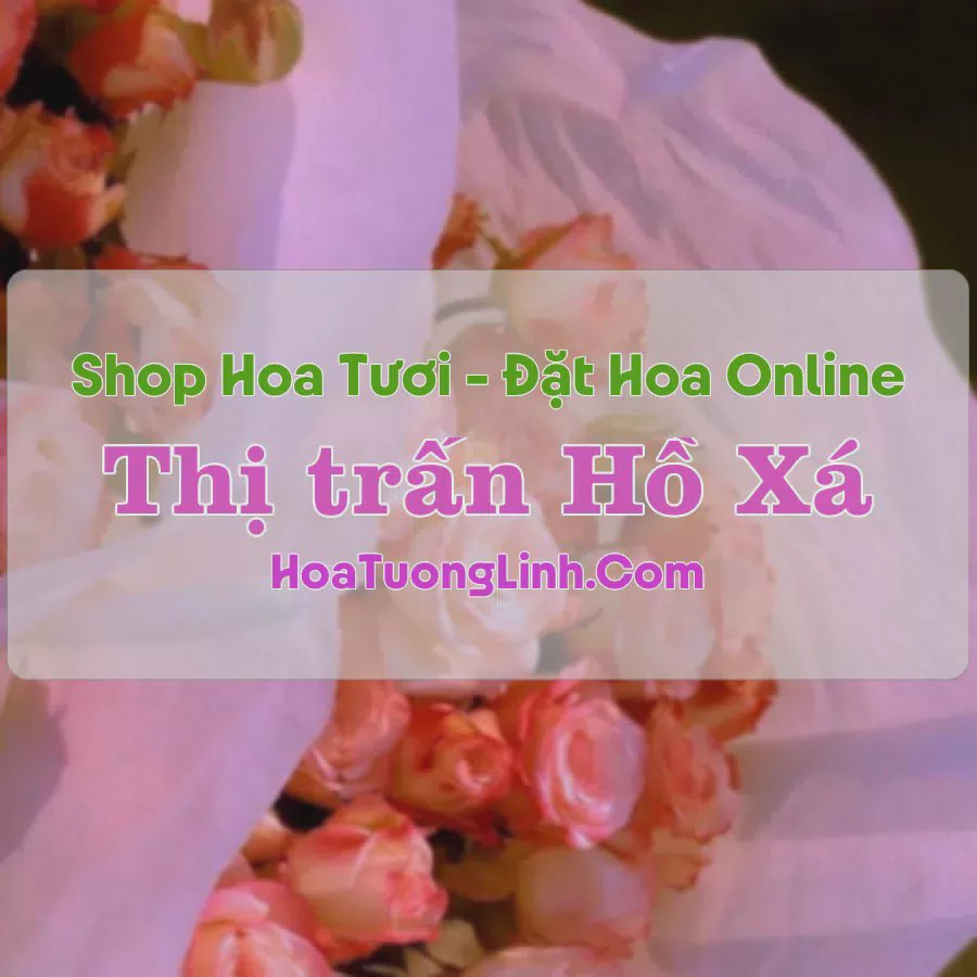 Shop Hoa Tươi Thị Trấn Hồ Xá - Quảng Trị