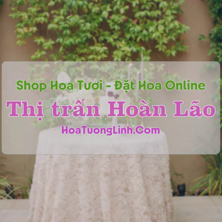 Shop Hoa Tươi Thị trấn Hoàn Lão - Quảng Bình