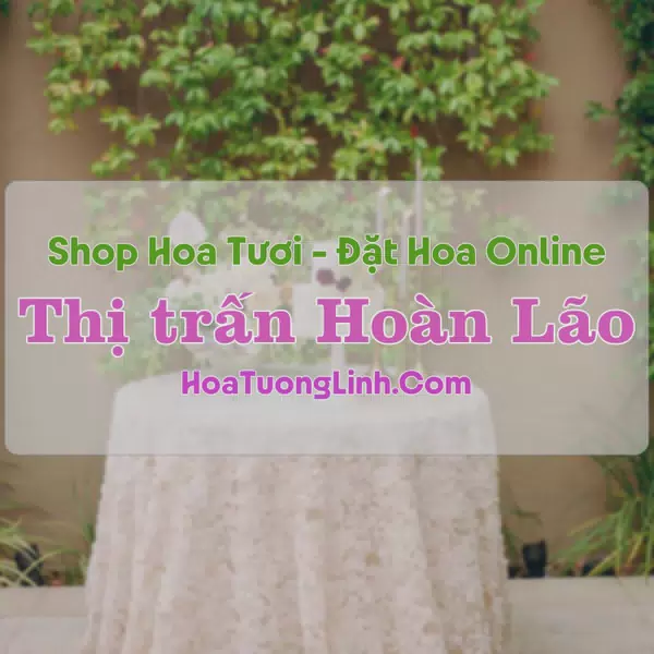 Shop Hoa Tươi Thị trấn Hoàn Lão - Quảng Bình