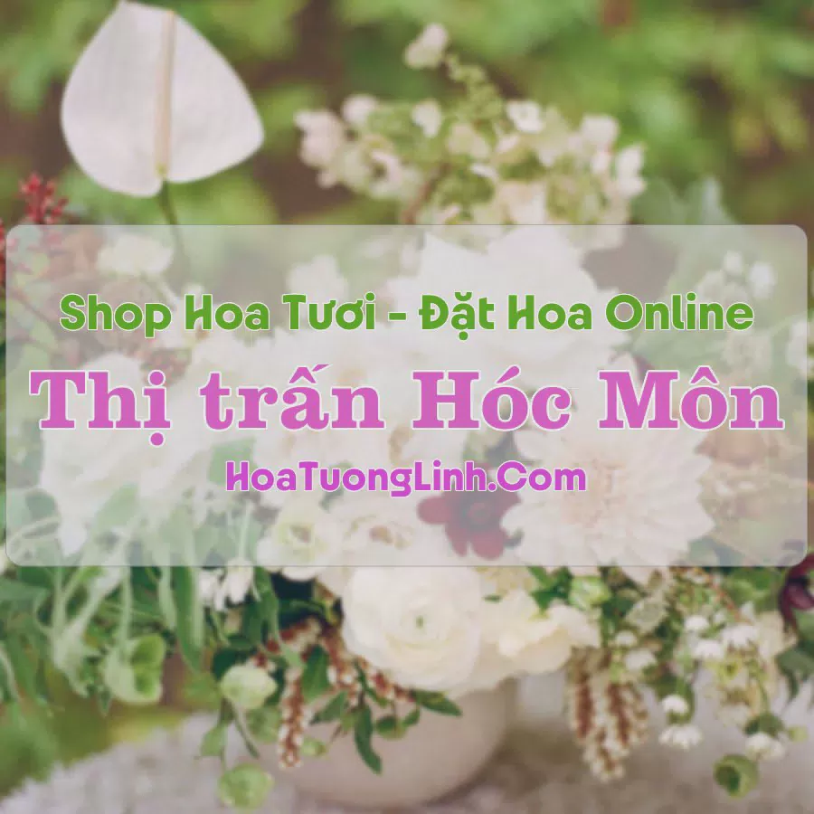Shop Hoa Tươi Thị Trấn Hóc Môn - TP.HCM