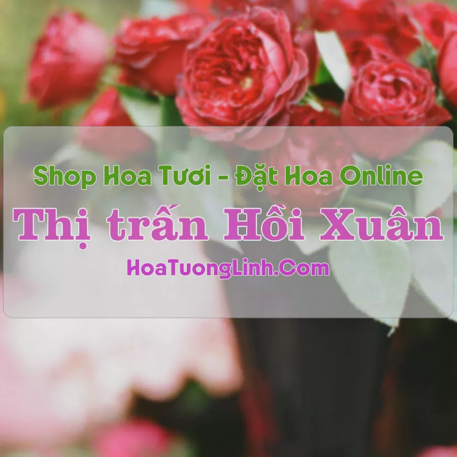Shop Hoa Tươi Thị Trấn Hồi Xuân - Thanh Hóa
