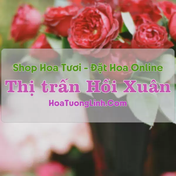 Shop Hoa Tươi Thị Trấn Hồi Xuân - Thanh Hóa