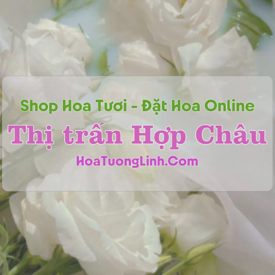 Shop Hoa Tươi Thị Trấn Hợp Châu - Vĩnh Phúc