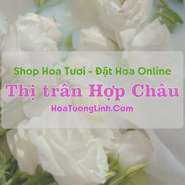 Shop Hoa Tươi Thị Trấn Hợp Châu - Vĩnh Phúc