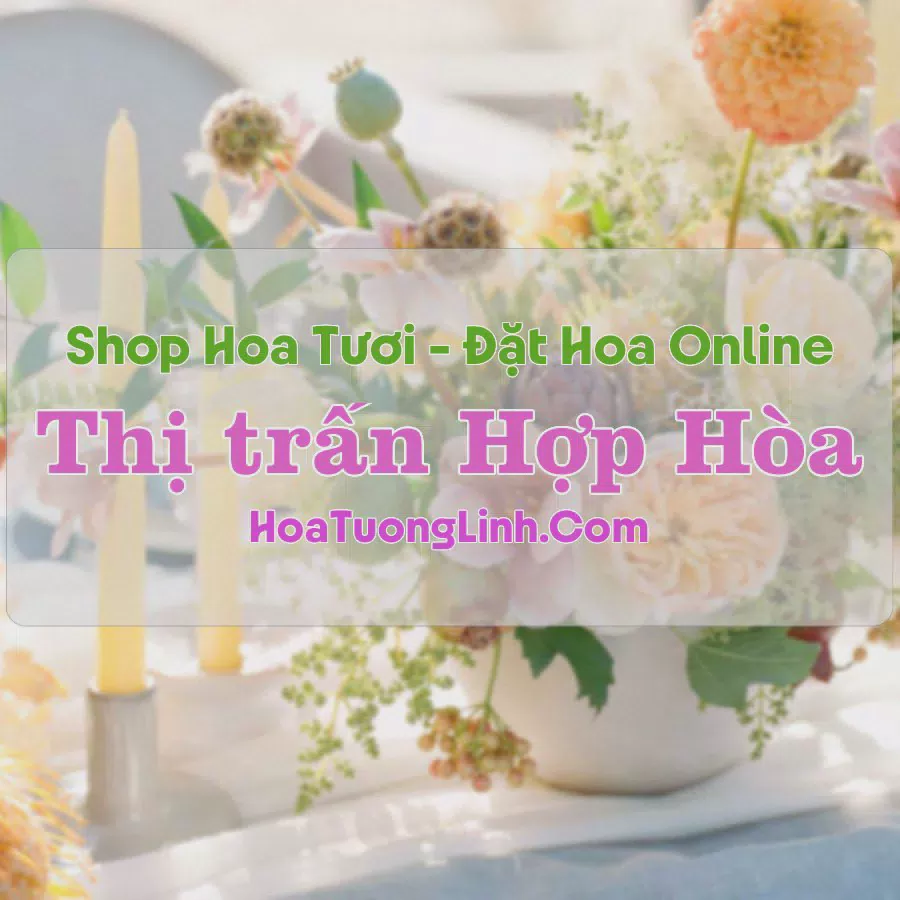 Shop Hoa Tươi Thị Trấn Hợp Hòa - Vĩnh Phúc