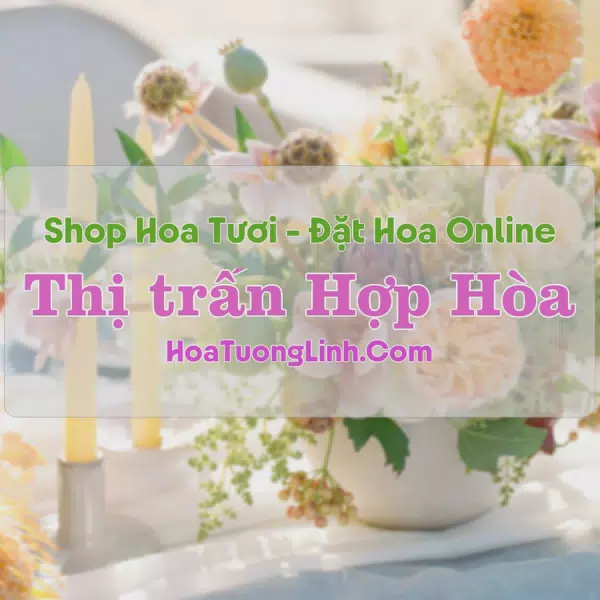 Shop Hoa Tươi Thị Trấn Hợp Hòa - Vĩnh Phúc