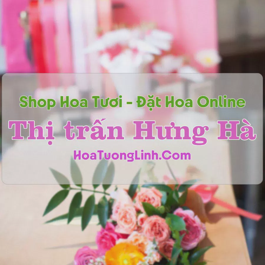 Shop Hoa Tươi Thị Trấn Hưng Hà - Thái Bình