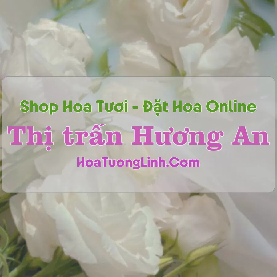Shop Hoa Tươi Thị Trấn Hương An - Quảng Nam