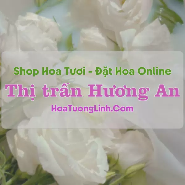 Shop Hoa Tươi Thị Trấn Hương An - Quảng Nam