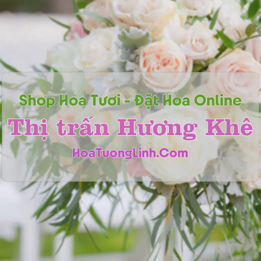 Shop Hoa Tươi Thị Trấn Hương Khê - Hà Tĩnh