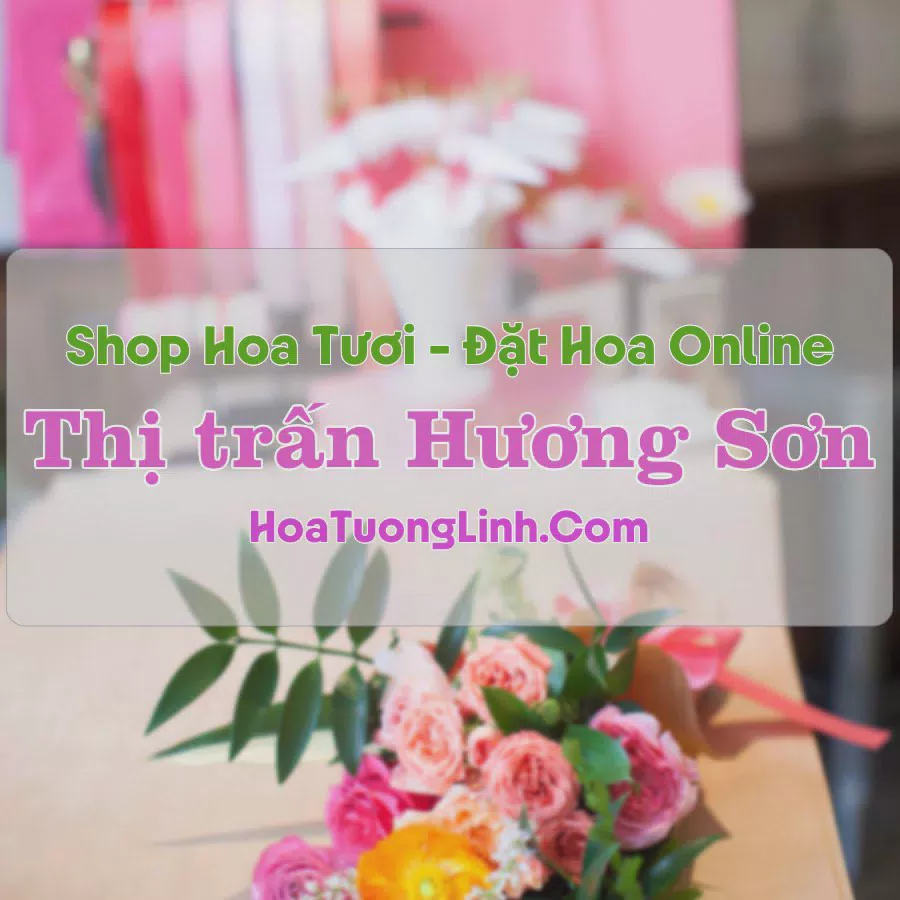 Shop Hoa Tươi Thị Trấn Hương Sơn - Thái Nguyên