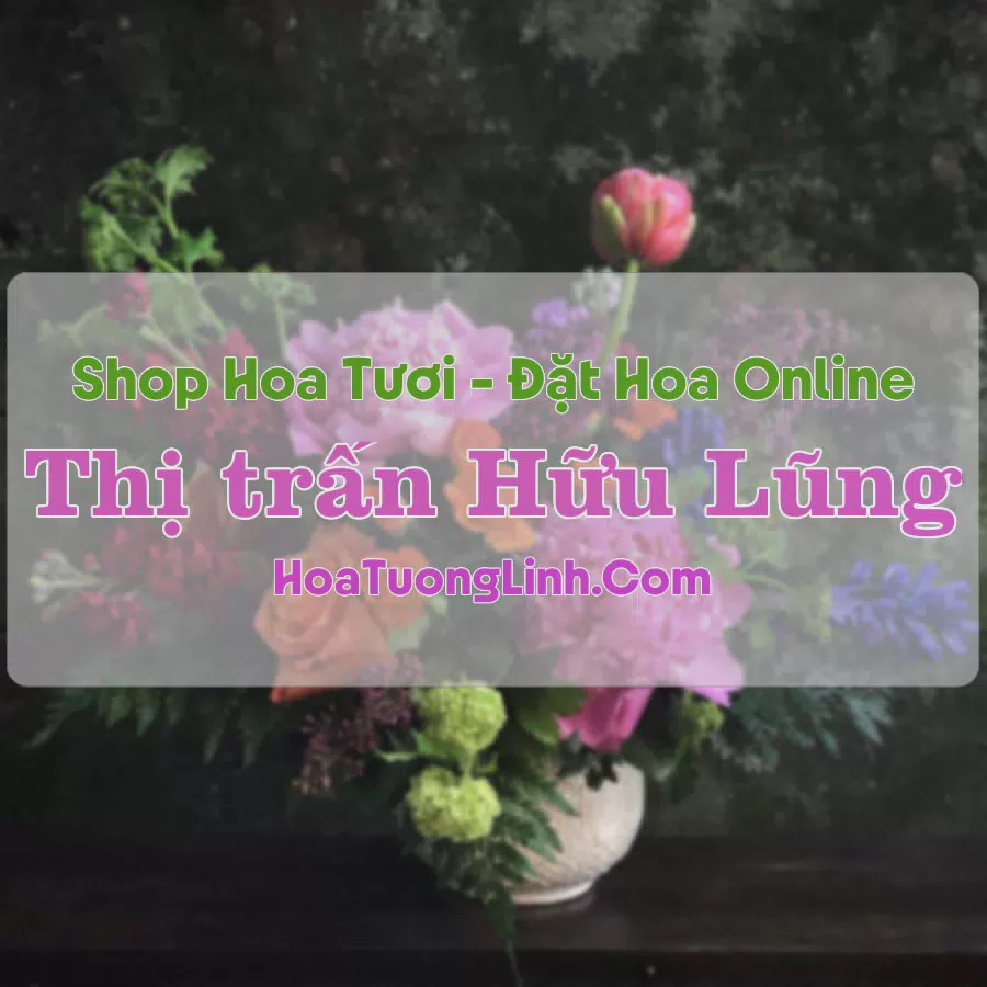 Shop Hoa Tươi Thị Trấn Hữu Lũng - Lạng Sơn