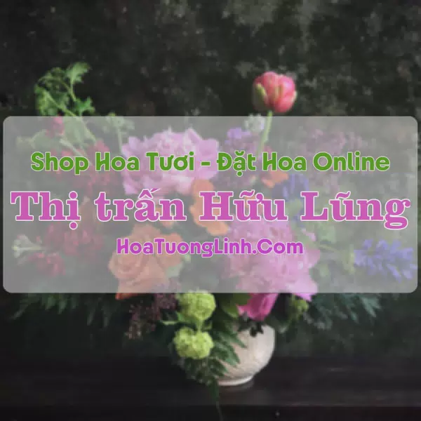 Shop Hoa Tươi Thị Trấn Hữu Lũng - Lạng Sơn