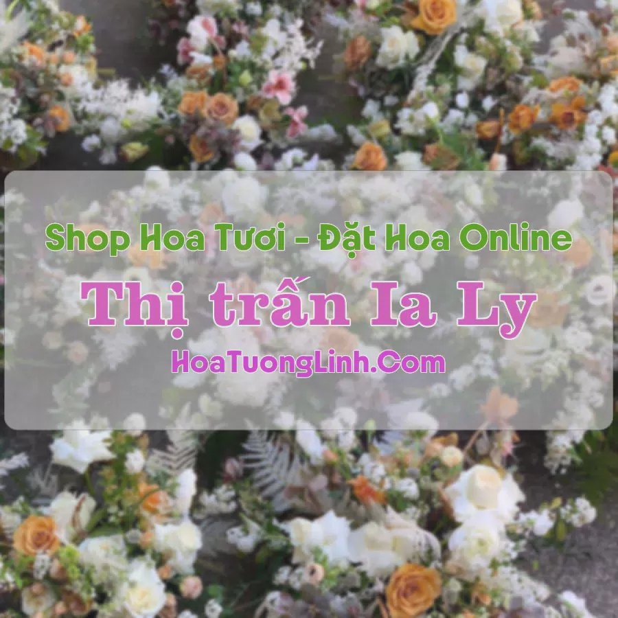 Shop Hoa Tươi Thị trấn Ia Ly - Gia Lai