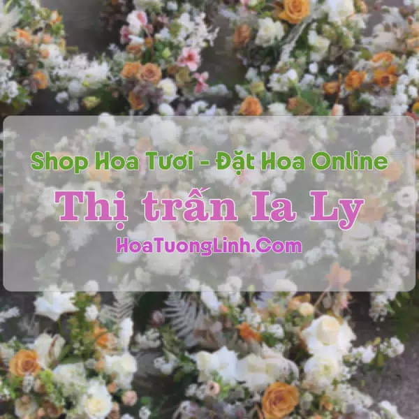 Shop Hoa Tươi Thị trấn Ia Ly - Gia Lai