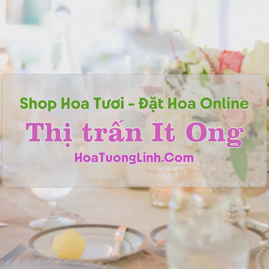 Shop Hoa Tươi Thị Trấn Ít Ong - Sơn La
