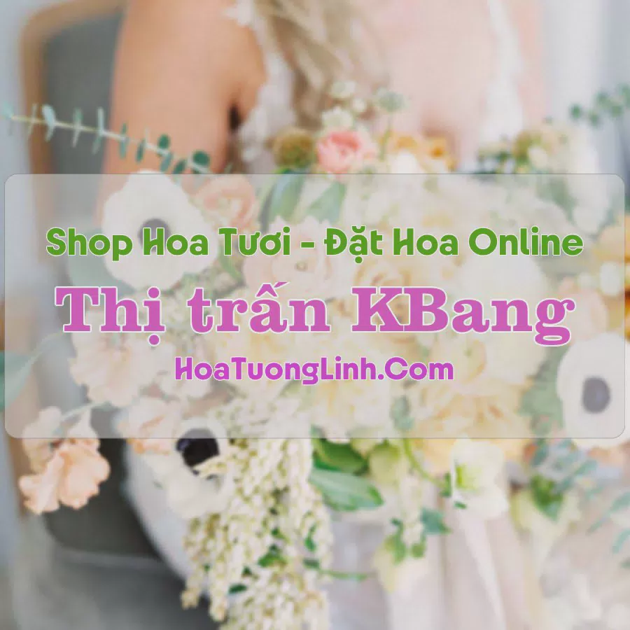 Shop Hoa Tươi Thị Trấn KBang - Gia Lai