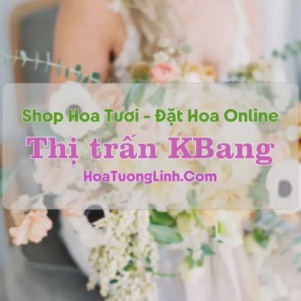 Shop Hoa Tươi Thị Trấn KBang - Gia Lai