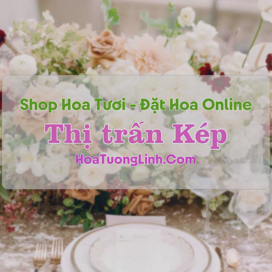 Shop Hoa Tươi Thị Trấn Kép - Bắc Giang