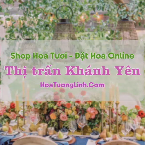 Shop Hoa Tươi Thị Trấn Khánh Yên - Lào Cai