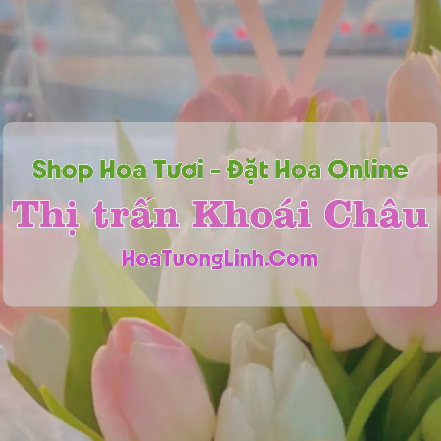 Shop Hoa Tươi Thị Trấn Khoái Châu - Hưng Yên