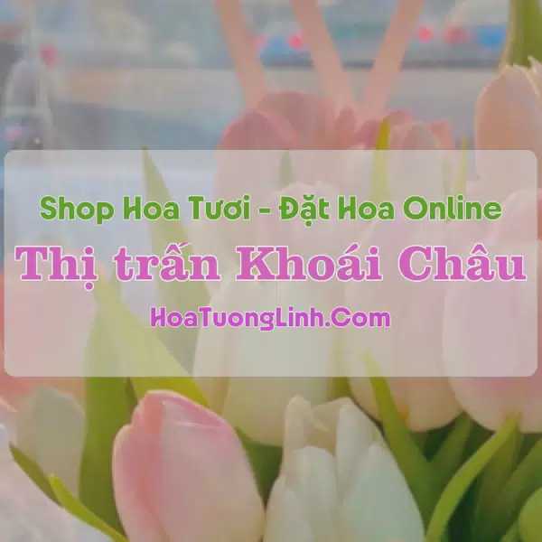 Shop Hoa Tươi Thị Trấn Khoái Châu - Hưng Yên