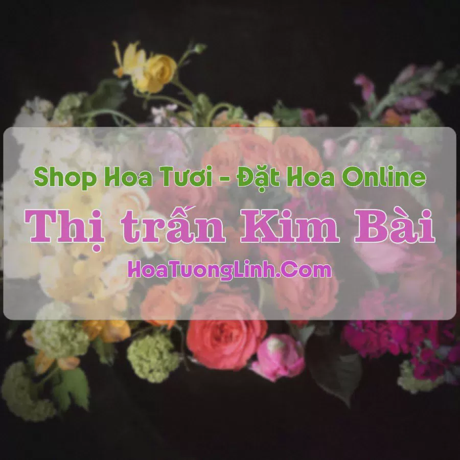 Shop Hoa Tươi Thị Trấn Kim Bài - Hà Nội