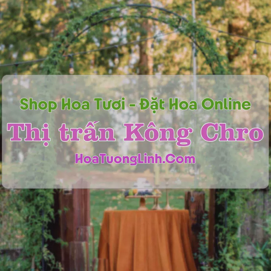 Shop Hoa Tươi Thị trấn Kông Chro - Gia Lai