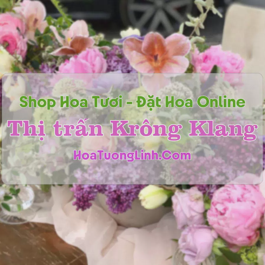 Shop Hoa Tươi Thị Trấn Krông Klang - Quảng Trị