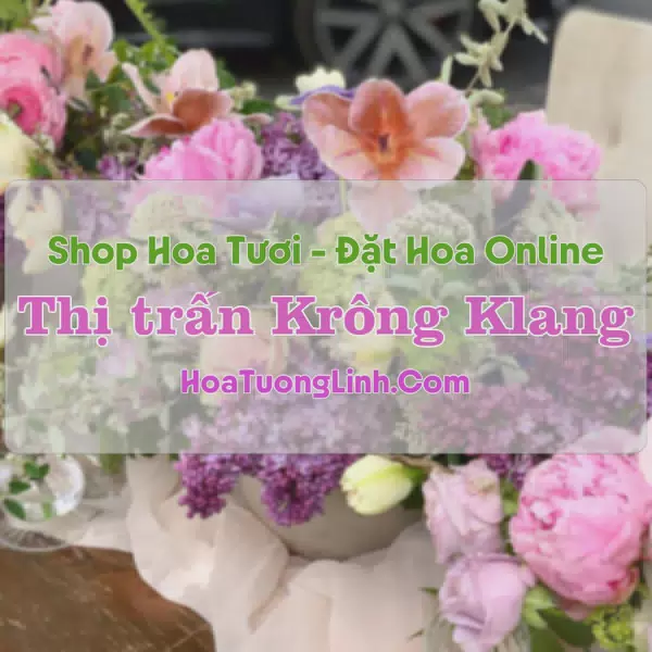 Shop Hoa Tươi Thị Trấn Krông Klang - Quảng Trị