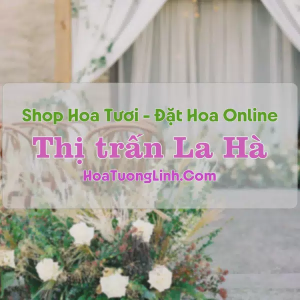 Shop Hoa Tươi Thị trấn La Hà - Quảng Ngãi