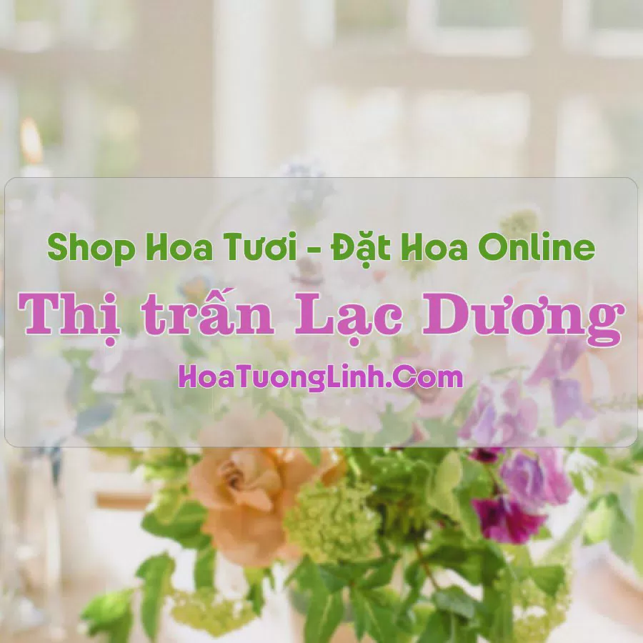 Shop Hoa Tươi Thị Trấn Lạc Dương - Lâm Đồng