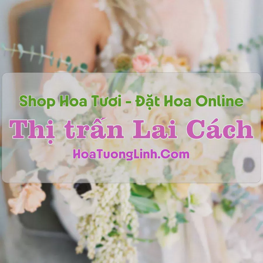 Shop Hoa Tươi Thị Trấn Lai Cách - Hải Dương