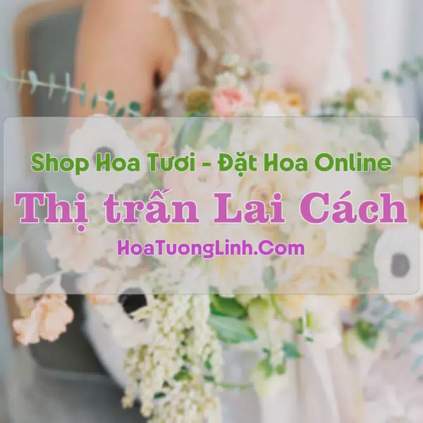 Shop Hoa Tươi Thị Trấn Lai Cách - Hải Dương