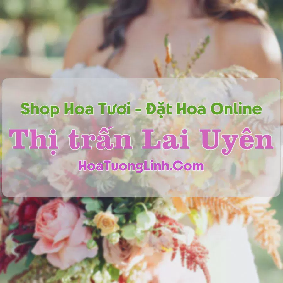 Shop Hoa Tươi Thị trấn Lai Uyên - Bình Dương