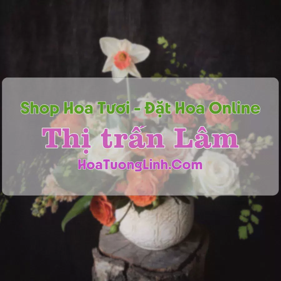 Shop Hoa Tươi TT Lâm - Nam Định